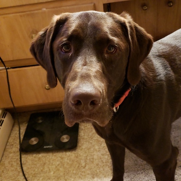 Meet your Posher, Megan - Picture 1 of 1